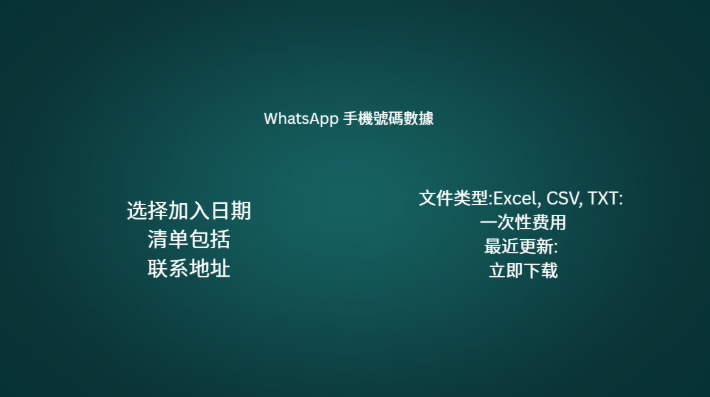 巴西 WhatsApp 手機號碼數據